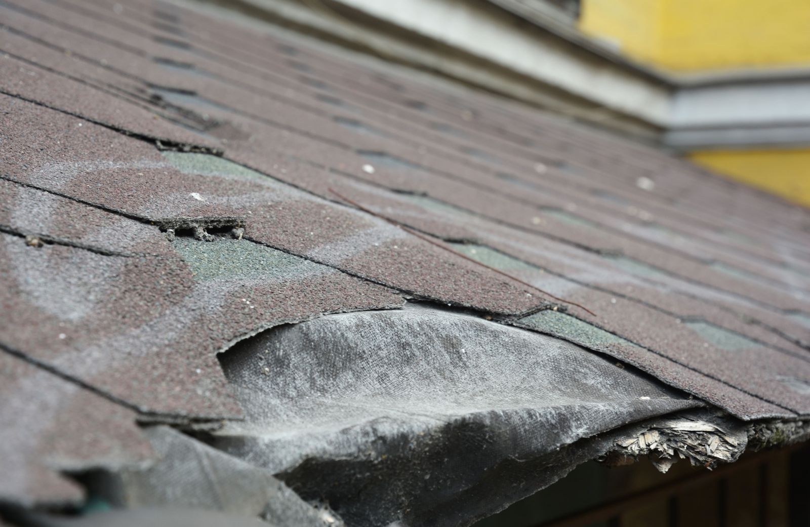 Roofing King Inc. Images